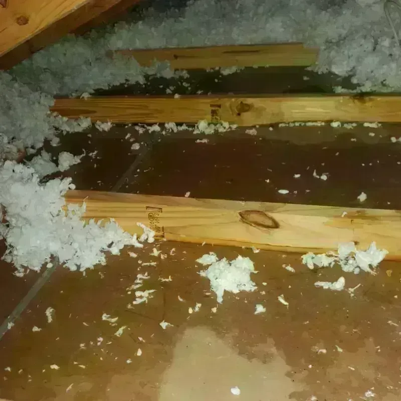 Attic Water Damage in Grant City, MO