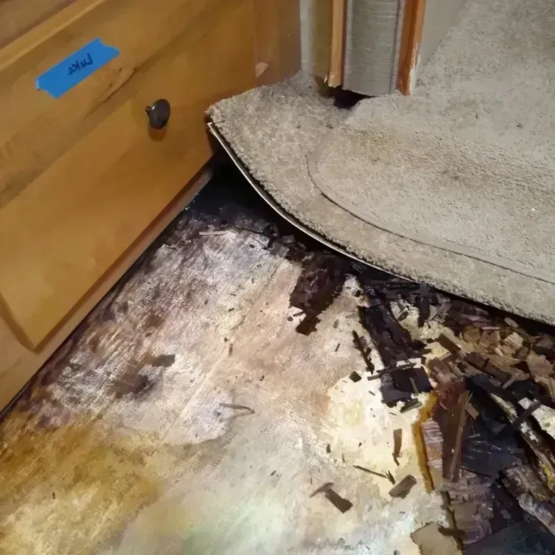 Wood Floor Water Damage in Grant City, MO